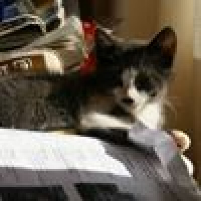 Anne  is looking for a Studio / Apartment / Room in Wageningen